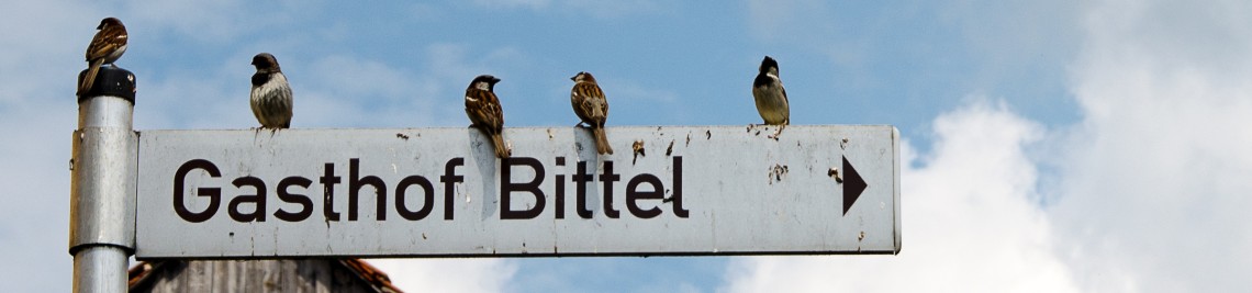 Wegweiser zum Gasthof Bittel